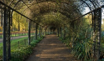 <p>The Rose Garden, Hyde Park - <a href='/triptoids/the-rose-garden'>Click here for more information</a></p>